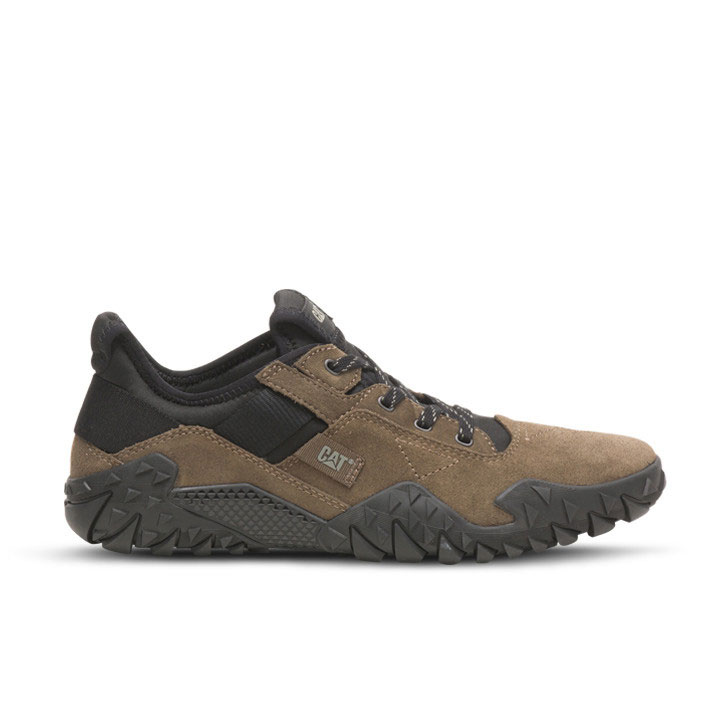 Caterpillar shoes 2019 sales